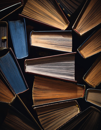 Vergrößerte Ansicht von Bücher sind nebeneinander aufgestellt