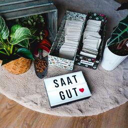 Vergrößerte Ansicht von Auf einem Teppich stehen Pflanzen und Kästen mit Umschlägen, in denen sich getrocknetes Saatgut befindet. Man kann die Beschriftungen &quot;Gemüse&quot; und &quot;Blumen&quot; erkennen.