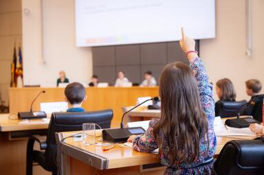 Vergrößerte Ansicht von Symbolbild Agenda Aktion wenn ich im Gemeinderat wäre