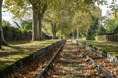 Vergrößerte Ansicht von 