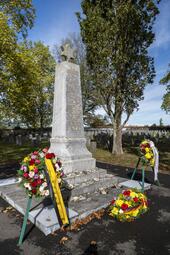 Vergrößerte Ansicht von 