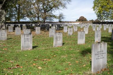 Vergrößerte Ansicht von 