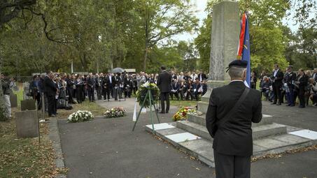 Vergrößerte Ansicht von 