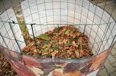 Vergrößerte Ansicht von 