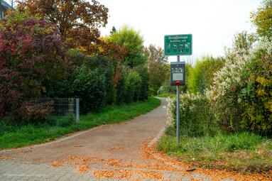 Vergrößerte Ansicht von 