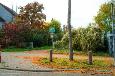 Vergrößerte Ansicht von 