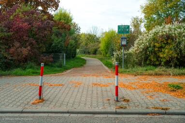 Vergrößerte Ansicht von 