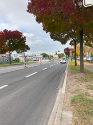 Vergrößerte Ansicht von 