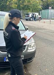 Vergrößerte Ansicht von 