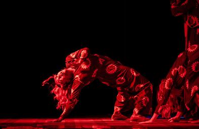 Vergrößerte Ansicht von diesem Bild