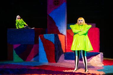 Vergrößerte Ansicht von Schräge Vögel