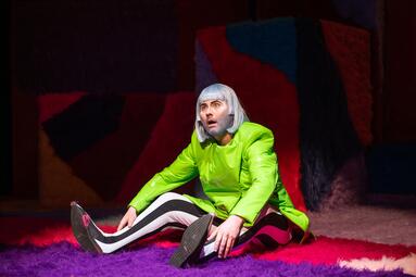 Vergrößerte Ansicht von Schräge Vögel