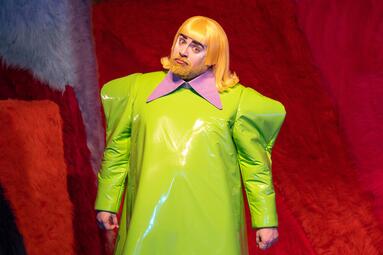 Vergrößerte Ansicht von Schräge Vögel