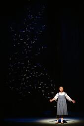 Vergrößerte Ansicht von diesem Bild