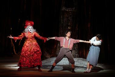 Vergrößerte Ansicht von diesem Bild