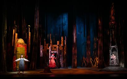 Vergrößerte Ansicht von diesem Bild