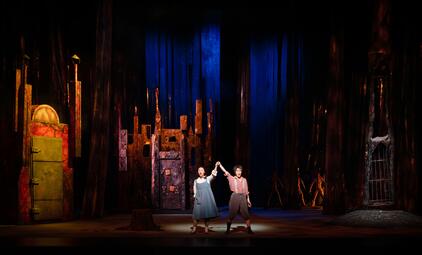 Vergrößerte Ansicht von diesem Bild