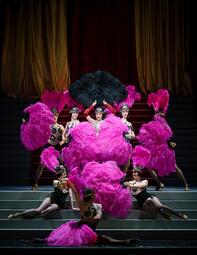 Vergrößerte Ansicht von Es sind acht Tänzerinnen auf einer Treppe zu sehen.Sie tragen Kleider, die mit riesigen pinken Federn geschmückt sind.Manche der Frauen sitzen auf der Treppe.