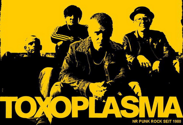 Vergrößerte Ansicht von Toxoplasma