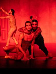 Vergrößerte Ansicht von diesem Bild