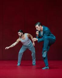 Vergrößerte Ansicht von diesem Bild