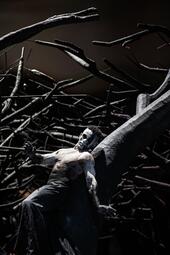 Vergrößerte Ansicht von Schauspieler mit weiß geschminktem Gesicht lehnt an einem großen, dunklen Baumstamm mit kahlen Ästen in einer Szene aus der Oper Lohengrin.