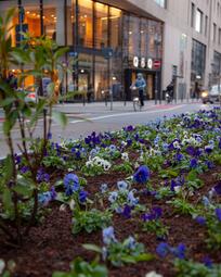 Vergrößerte Ansicht von 