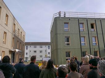 Vergrößerte Ansicht von 