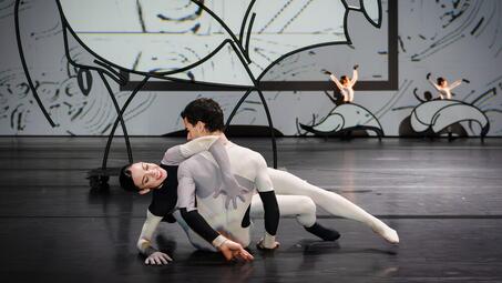 Vergrößerte Ansicht von diesem Bild