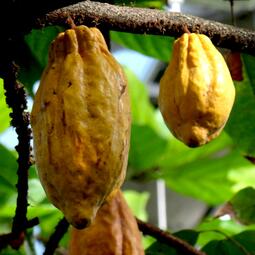 Vergrößerte Ansicht von Ferienkurs Grüne Schule