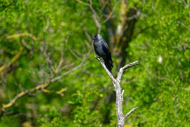 Vergrößerte Ansicht von diesem Bild