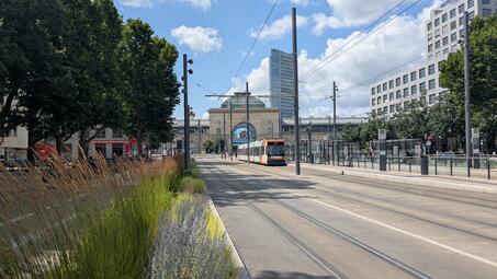 Vergrößerte Ansicht von diesem Bild