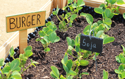 Vergrößerte Ansicht von Grüner Dienstag: Weltacker 2GO - Interaktive Einblicke in unsere globale Landwirtschaft