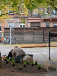 Vergrößerte Ansicht von diesem Bild