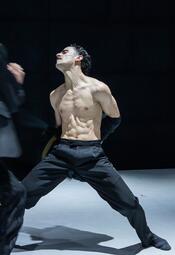 Vergrößerte Ansicht von diesem Bild