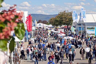 Vergrößerte Ansicht von Maimarkt Mannheim