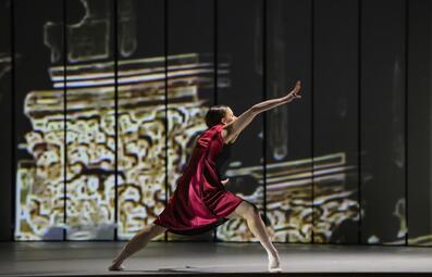 Vergrößerte Ansicht von diesem Bild