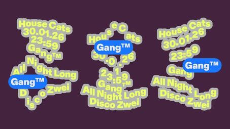 Vergrößerte Ansicht von House Cats w/ Gang™