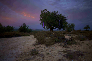 Vergrößerte Ansicht von Matinee - Eintritt frei: "High Noon – Europa im Energierausch" mit Regiebesuch