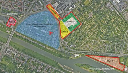 Vergrößerte Ansicht von 