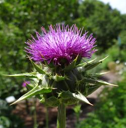 Vergrößerte Ansicht von Sommerferienkurs