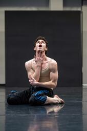 Vergrößerte Ansicht von diesem Bild