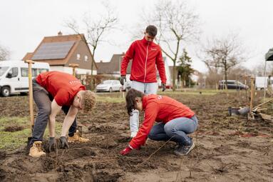 Vergrößerte Ansicht von Waldinsel Mannheim-Schönau: Bauhaus-Azubis pflanzen Bäume und Sträucher