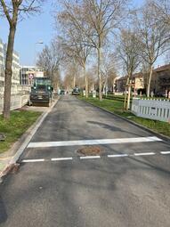 Vergrößerte Ansicht von diesem Bild