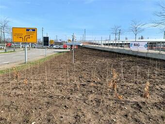 Vergrößerte Ansicht von diesem Bild