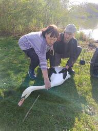 Vergrößerte Ansicht von 