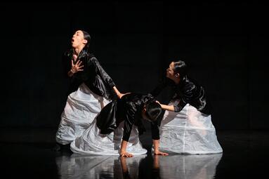 Vergrößerte Ansicht von diesem Bild