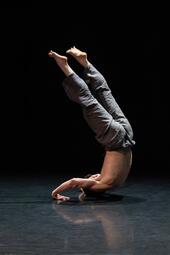 Vergrößerte Ansicht von diesem Bild