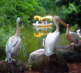 Vergrößerte Ansicht von Öffentliche Führung am Sonntag