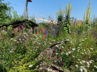 Vergrößerte Ansicht von diesem Bild